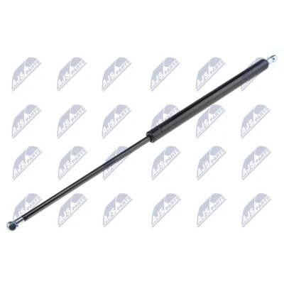 Afbeelding van NTY AE HY 029 Gasveer achterklep 650 570