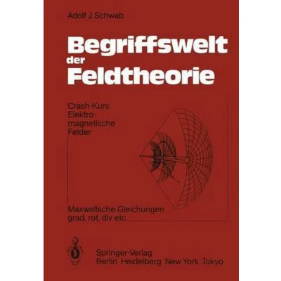 Afbeelding van Begriffswelt der Feldtheorie