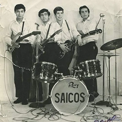 Afbeelding van Los Saicos Demolicion