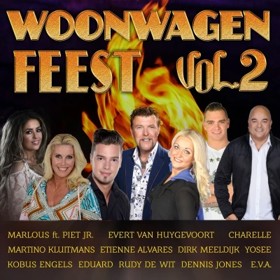 Afbeelding van Various Artists Woonwagen Feest Vol 2 (CD)
