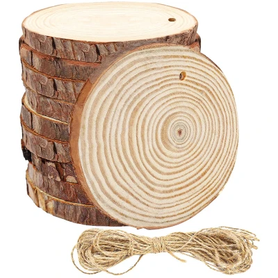 Afbeelding van Kurtzy 10 Pak Onbewerkte Houtsnedes met Gaten en Koord 12 cm Diameter, mm Dik Rustiek Natuurlijk Houten Boomschijven Schors Kunst/Hobby, DIY, Hangende Decoraties &amp; Kerstornamenten