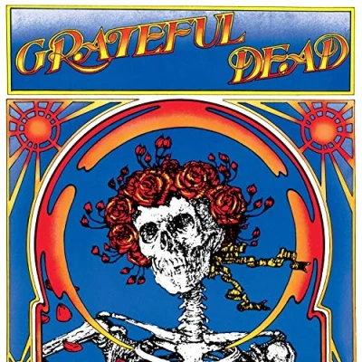 Afbeelding van Grateful Dead (Skull &amp; Roses) (2LP)