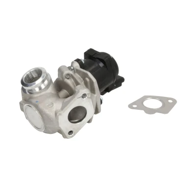 Afbeelding van WAHLER 711020D EGR klep Electrisch Met sensor FORD: FIESTA 6 Van, 6, Focus 2, VOLVO: V50, C30, V70 3, MAZDA: 2 Hatchback, 3 Hatchback
