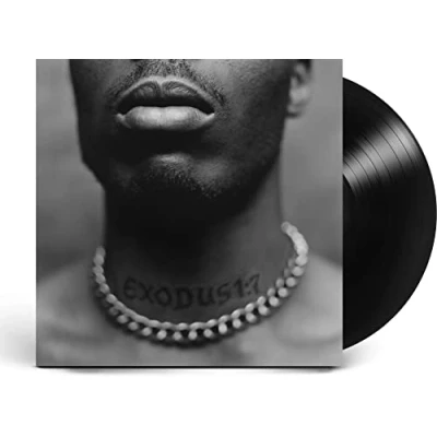 Afbeelding van Dmx Exodus (LP)