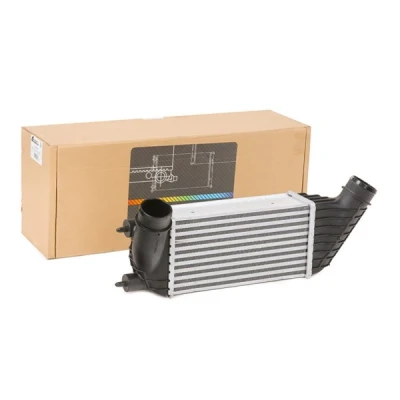 Afbeelding van THERMOTEC DAC006TT Intercooler 300 156 80 PEUGEOT: Expert II Van, Tepee, CITROËN: Dispatch FIAT: Scudo