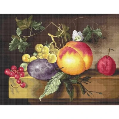 Afbeelding van Luca S Still Life borduren (pakket)