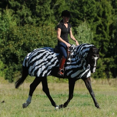 Afbeelding van Bucas Buzz off Riding Zebra zwart/wit maat:205