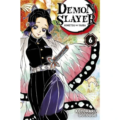 Image de Demon Slayer T06