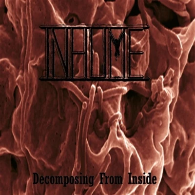 Afbeelding van Inhume Decomposing From Inside (LP)
