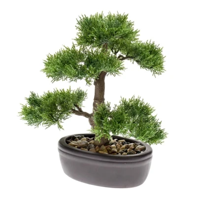 Afbeelding van Bonsai 3 Driesprong Collection
