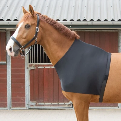 Image de Harry&#039;s Horse Protection de Poitrail Lycra Noir L