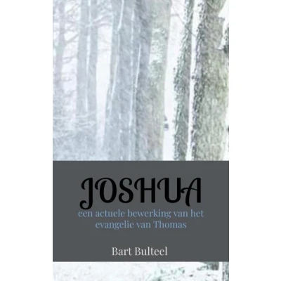 Afbeelding van JOSHUA
