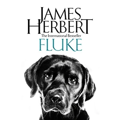 Afbeelding van Fluke