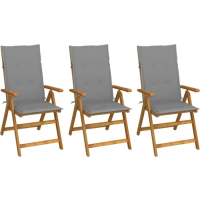 Afbeelding van vidaXL Tuinstoelen 3 st inklapbaar met kussens massief acaciahout