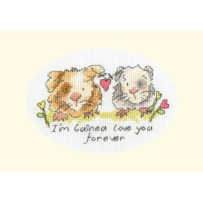 Afbeelding van Bothy Threads Eleanor Teasdale I&#039;m Guinea Love You Forever borduren (pakket) XGC41