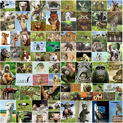 Afbeelding van Edition Colibri ansichtkaarten, dieren, dieren uit de hele wereld, 100 stuks