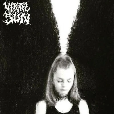 Afbeelding van Viral Sun (LP)