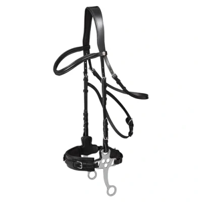 Image de Waldhausen Hackamore X Line Noir Full