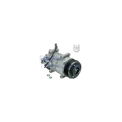 Afbeelding van DELPHI CS20499 AC Compressor 6ZSE16 PAG 46 Met compressorolie MERCEDES BENZ: B Class, A Class