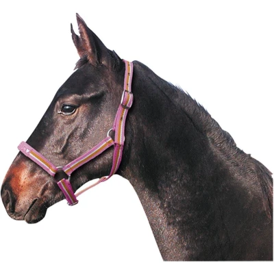 Afbeelding van Premiere Halster Fun Pink Veulen XS