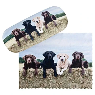 Afbeelding van von Lilienfeld Labrador Retriever Brillenkoker Stevige Doos Cadeau Zonnebrillenkoker Doek Reiniging Hond, Veelkleurig, 16 x 6,5 4,5, Meerkleurig