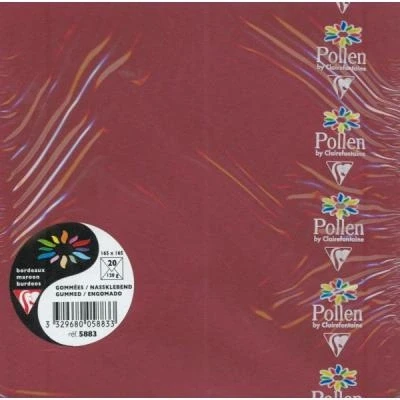 Image de Paquet de 20 enveloppes Pollen 165x165mm Bordeaux 120g