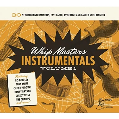 Afbeelding van Various Artists Whip Masters Instrumental Vol.1 (CD)
