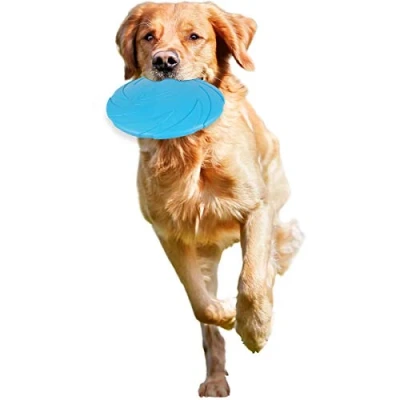 Afbeelding van Flamingo Hondenspeelgoed Rubber Morrison Frisbee Blauw 22 x 3 cm