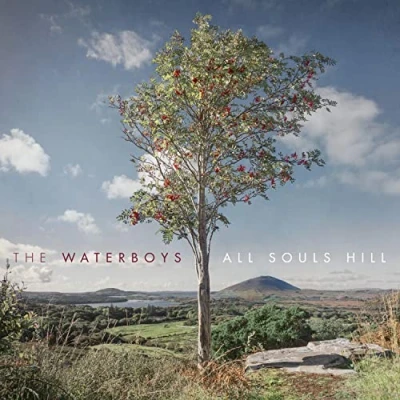 Afbeelding van Waterboys All Souls Hill (LP)