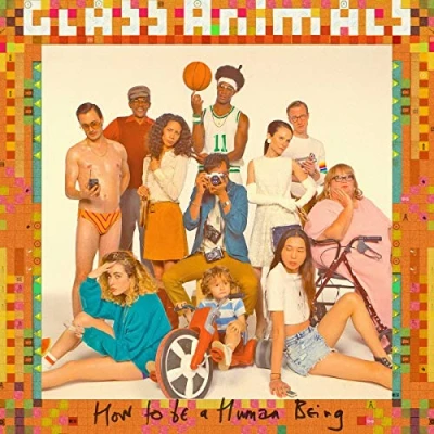 Afbeelding van Glass Animals How To Be A Human Being (LP)