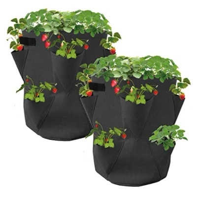 Afbeelding van Spetebo Set van 2 kweekzakken vilt voor aardbeien en kleine groenten, 45 x 35 cm, aardbeien, knoflook, uien, kruiden