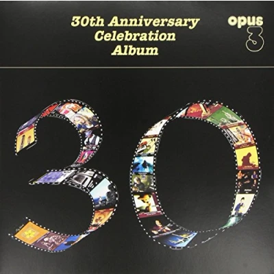 Afbeelding van Various Artists 30th Anniversary Celebration Album (2 LP)