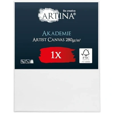 Afbeelding van Artina Academy Schilderdoek Canvas 50x40cm