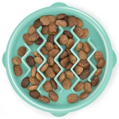 Afbeelding van Outward Hound Fun Feeder Slo Bowl Tiny Voerbak Mint Kleurloos Hondenartikelen