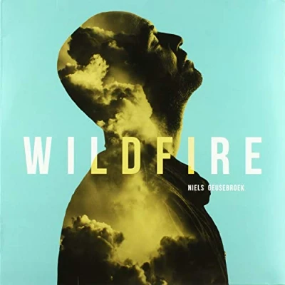 Afbeelding van Niels Geusebroek Wildfire (LP)