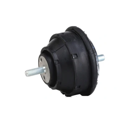 Afbeelding van Aslichaam /motorsteunlager MEYLE 300 118 1106