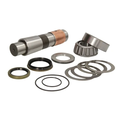 Afbeelding van C.E.I. Fuseepen reparatieset 230.013