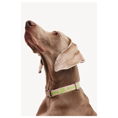 Afbeelding van Dogguo Collar Groen&amp;Roze Hondenhalsband S Kleine Honden