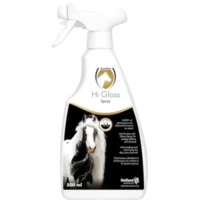 Image de Excellent Spray Hi Gloss 500ml