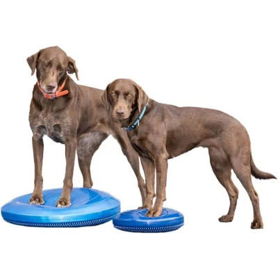 Afbeelding van FitPAWS Balance Disk Blauw