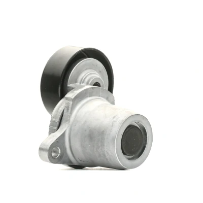 Afbeelding van Gates Spanrol (poly) V riem T38454