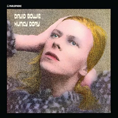 Afbeelding van Hunky Dory