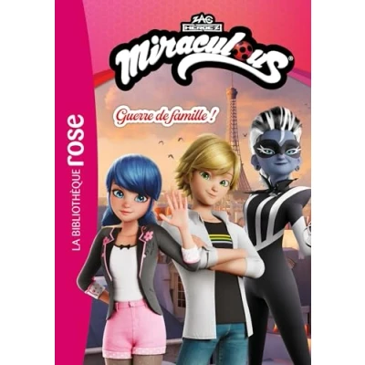 Afbeelding van MIRACULOUS UN NOUVEAU DEPART,3