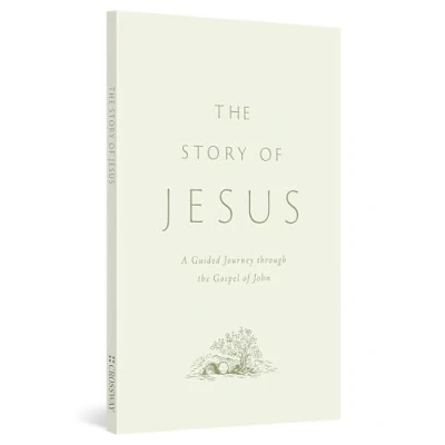 Afbeelding van The Story of Jesus