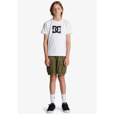 Afbeelding van DC Shoes Tundra Shorts voor kinderen, Maat: 134/140, Ivy green