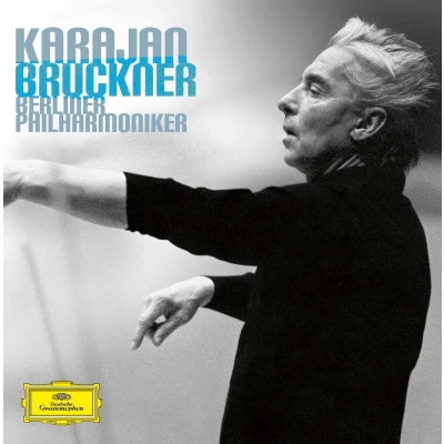 Afbeelding van Herbert Von Karajan 9 Symphonies (9 CD)