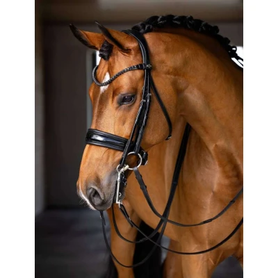 Afbeelding van LeMieux Stang en Trenshoofdstel Kudos Zwart Full