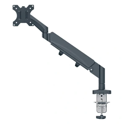 Image de Leitz Ergo Monitor Arm Grey