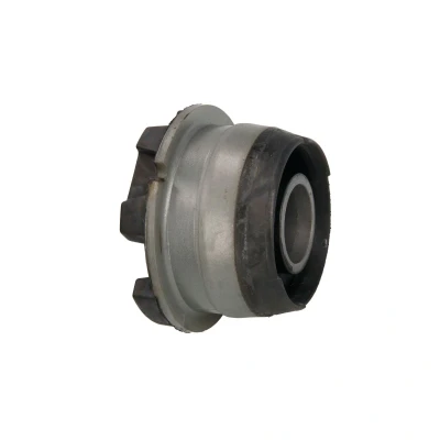Afbeelding van REINHOCH RH19 4000 Silentblok Achteras