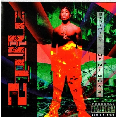 Afbeelding van 2Pac Strictly 4 My N.I.G.G.A.Z. (CD)